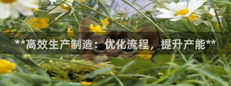 彩神8官网合法吗：**高效生产制造：优化流程，提升产能**