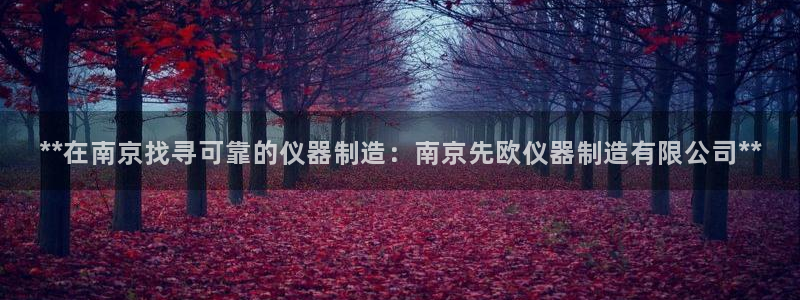 彩神ⅴll用户登录：**在南京找寻可靠的仪器制造：南京先欧仪器制造有限公司**