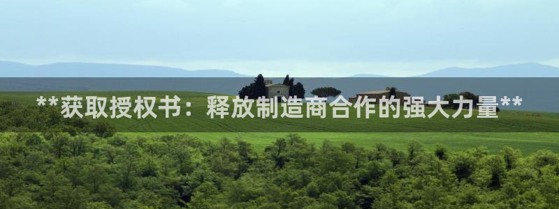 彩神viii官网：**获取授权书：释放制造商合作的强大力量*