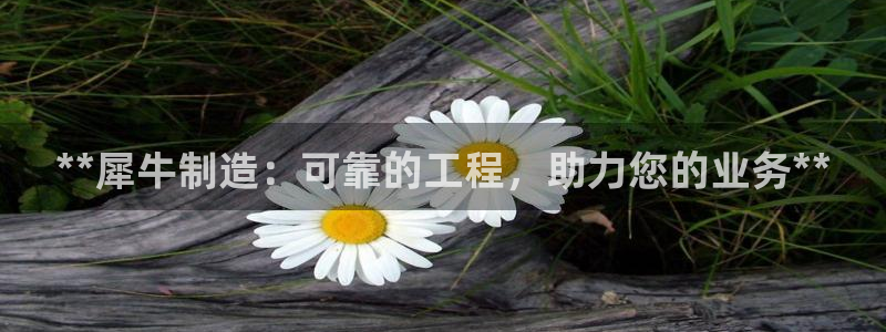 彩神趣购彩用户注册：**犀牛制造：可靠的工程，助力您的业务**
