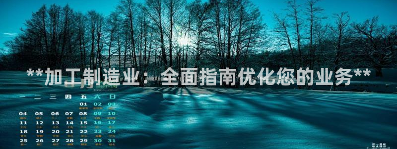 彩神V官网：**加工制造业：全面指南优化您的业务**