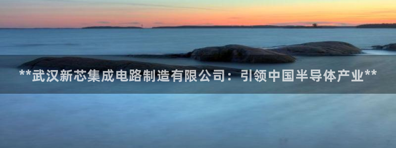 彩神vip购彩大厅下载：**武汉新芯集成电路制造有限公司：引