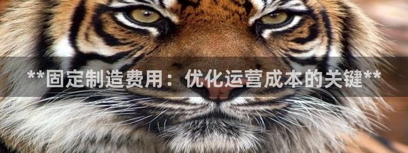彩神系列平台：**固定制造费用：优化运营成本的关键**