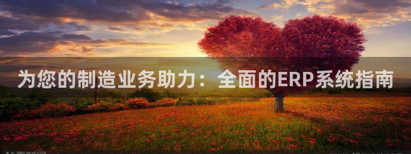有谁知道彩神争霸的网址：为您的制造业务助力：全面的ERP系统指南