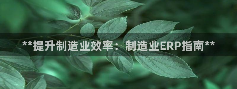 彩神v天天：**提升制造业效率：制造业ERP指南**