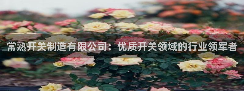 彩神v争霸有限公司：常熟开关制造有限公司：优质开关领域的行业