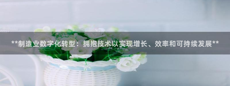 彩神VII购彩中心：**制造业数字化转型：拥抱技术以实现增长
