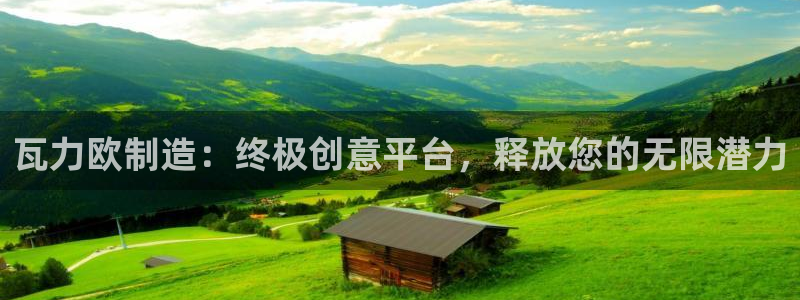 彩神是什么平台：瓦力欧制造：终极创意平台，释放您的无限潜力