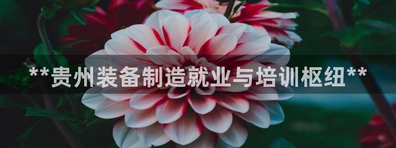 彩神v1官网：**贵州装备制造就业与培训枢纽**