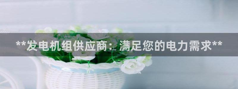 彩神v天天：**发电机组供应商：满足您的电力需求**