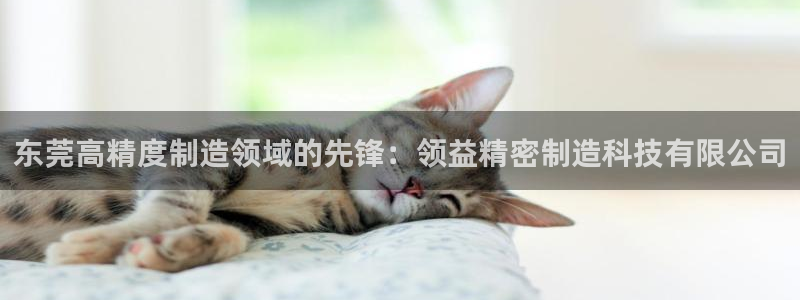彩神VII购彩中心：东莞高精度制造领域的先锋：领益精密制造科技有限公司