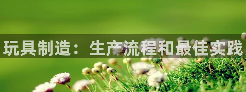彩神平台之间是什么关系：玩具制造：生产流程和最佳实践