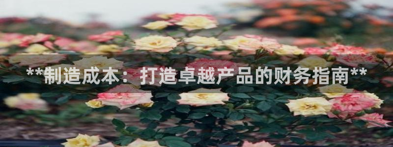 彩神vlll官网网上购彩：**制造成本：打造卓越产品的财务指南**