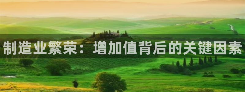 彩神vlll(中国)百度百科：制造业繁荣：增加值背后的关键因素