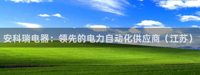 彩神vi官网版：安科瑞电器：领先的电力自动化供应商（江苏）