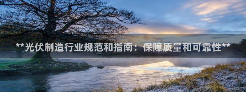 下载彩神争霸谁与我争锋：**光伏制造行业规范和指南：保障质量和可靠性**