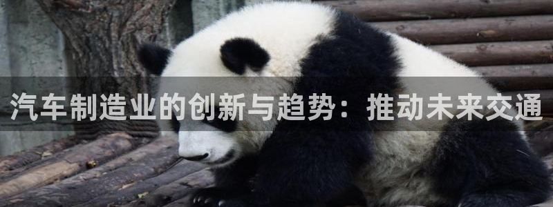 彩神vip购彩大厅下载：汽车制造业的创新与趋势：推动未来交通