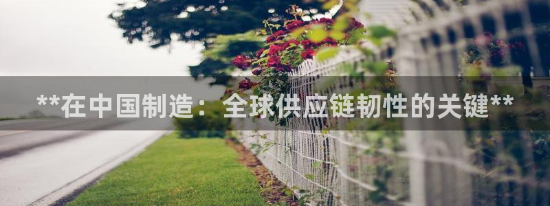 彩神8是正规平台吗安全吗：**在中国制造：全球供应链韧性的关键**
