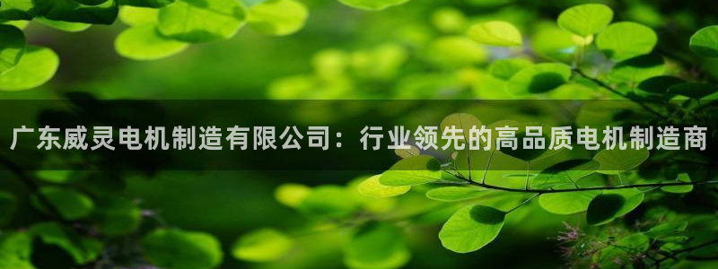 彩神是正规平台吗知乎：广东威灵电机制造有限公司：行业领先的高品质电机制造商