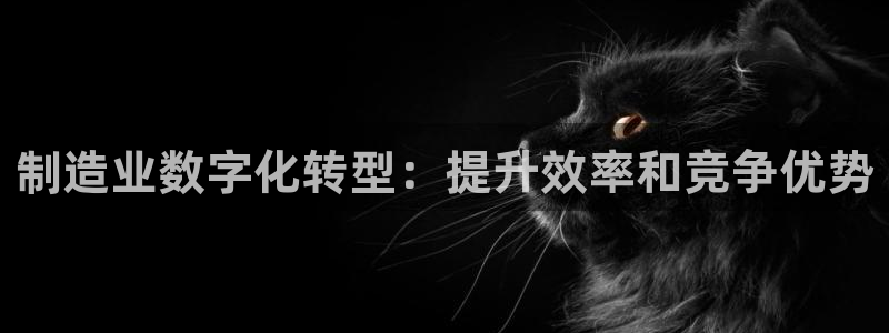 彩神VI首页：制造业数字化转型：提升效率和竞争优势