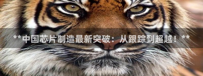 彩神Vll：**中国芯片制造最新突破：从跟踪到超越！**