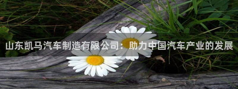 彩神vip购彩大厅：山东凯马汽车制造有限公司：助力中国汽车产业的发展