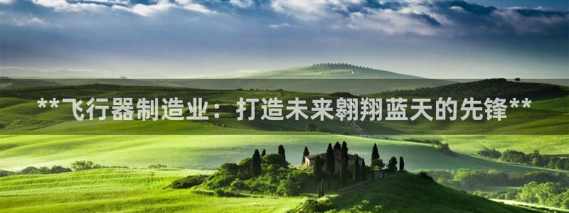 彩神8官网版是正规的吗：**飞行器制造业：打造未来翱翔蓝天的先锋**