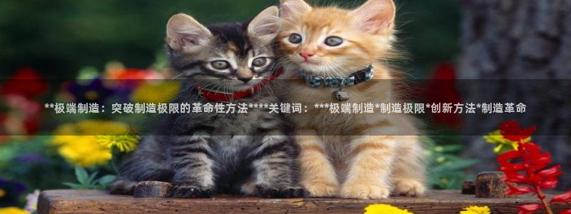 彩神输的钱是赌博还是诈骗：**极端制造：突破制造极限的革命性方法****关键词：***极端制造*制造极限*创新