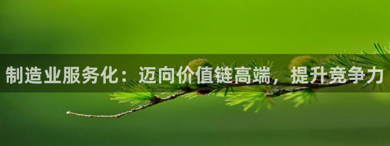 彩神velcome购彩大厅：制造业服务化：迈向价值链高端，提升竞争力