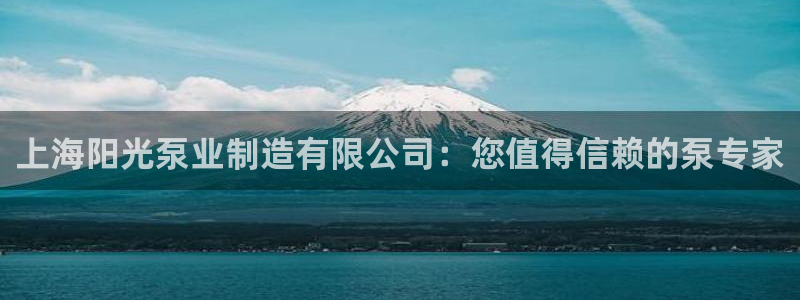 彩神ⅴll是什么样平台：上海阳光泵业制造有限公司：您值得信赖