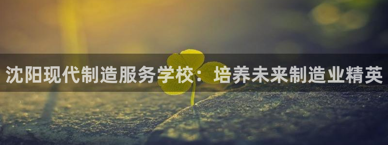 彩神vll官网在线登录：沈阳现代制造服务学校：培养未来制造业精英