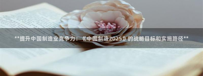 彩神赢的钱是哪里来的：**提升中国制造业竞争力：《中国制造2025》的战略目标和实施路径**