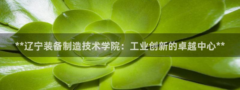 彩神VII购彩中心：**辽宁装备制造技术学院：工业创新的卓越
