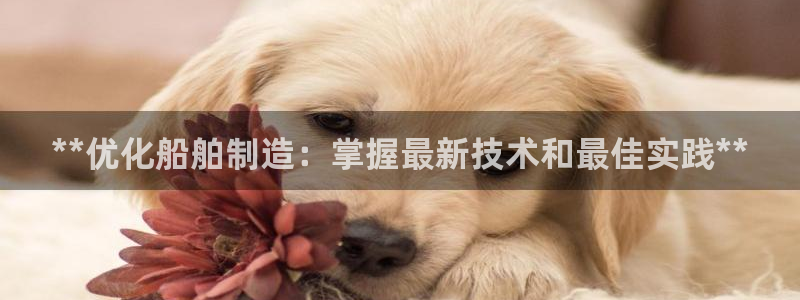 彩神vll官网在线登录：**优化船舶制造：掌握最新技术和最佳实践**