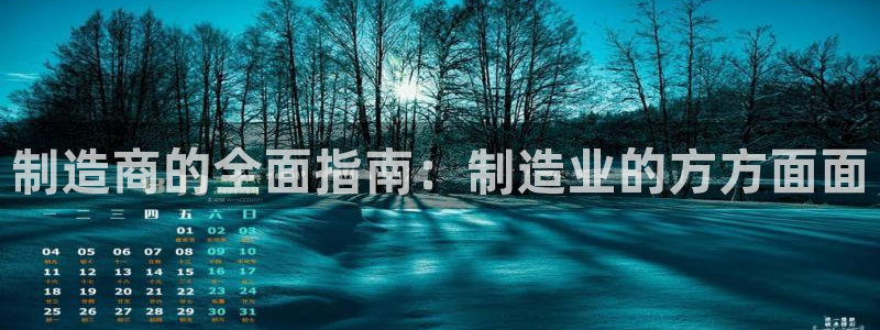 彩神v8平台正规吗：制造商的全面指南：制造业的方方面面