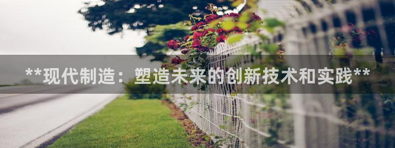 彩神v集团有限公司：**现代制造：塑造未来的创新技术和实践*
