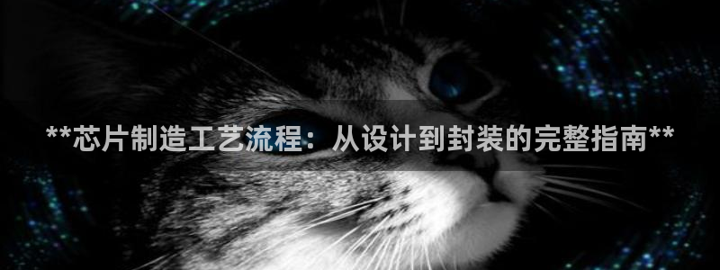 彩神v彩搜狗：**芯片制造工艺流程：从设计到封装的完整指南**