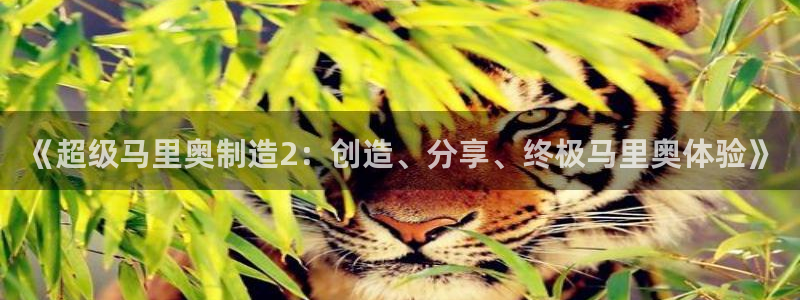彩神v8手机客户端下载：《超级马里奥制造2：创造、分享、终极马里奥体验》