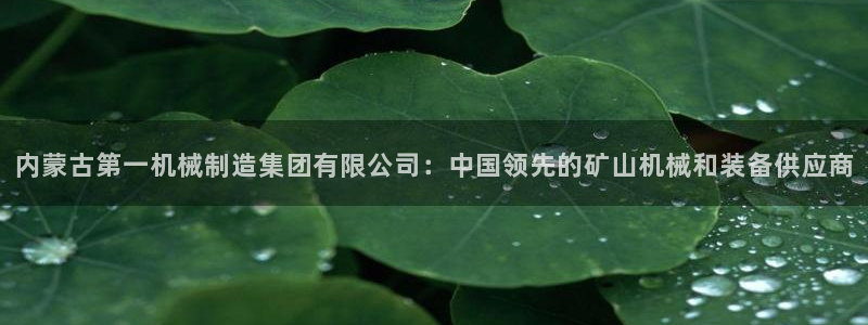 彩神v8是一个什么平台：内蒙古第一机械制造集团有限公司：中国