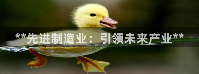 彩神v8官网版：**先进制造业：引领未来产业**