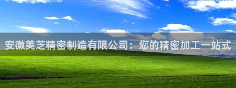 彩神邀请码:00-00-3267：安徽美芝精密制造有限公司：您的精密加工一站式