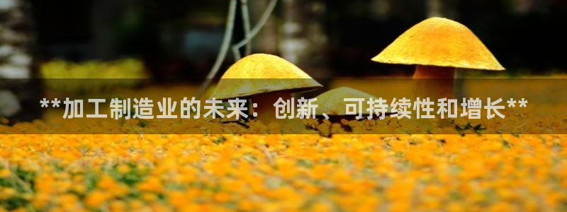 彩神ix可靠吗：**加工制造业的未来：创新、可持续性和增长**
