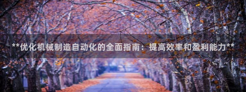 彩神官方邀请码是多少：**优化机械制造自动化的全面指南：提高效率和盈利能力**