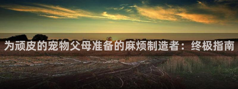 彩神大发是不是人为操作：为顽皮的宠物父母准备的麻烦制造者：终极指南