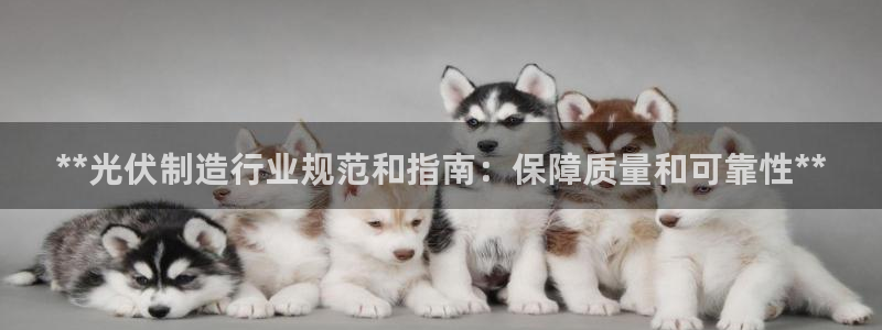 彩神ix平台：**光伏制造行业规范和指南：保障质量和可靠性*