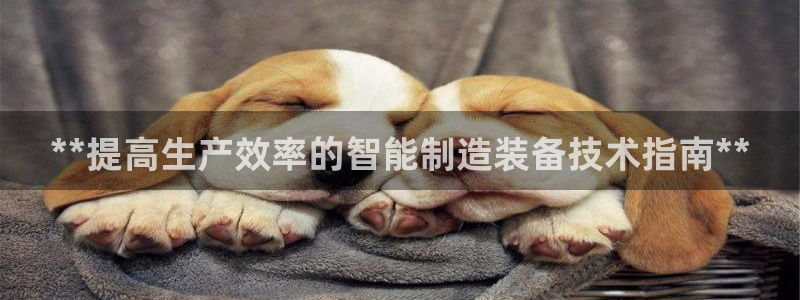 所有彩神购买首页都一样吗：**提高生产效率的智能制造装备技术指南**