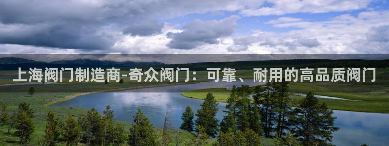 彩神8最新版下载：上海阀门制造商-奇众阀门：可靠、耐用的高品质阀门