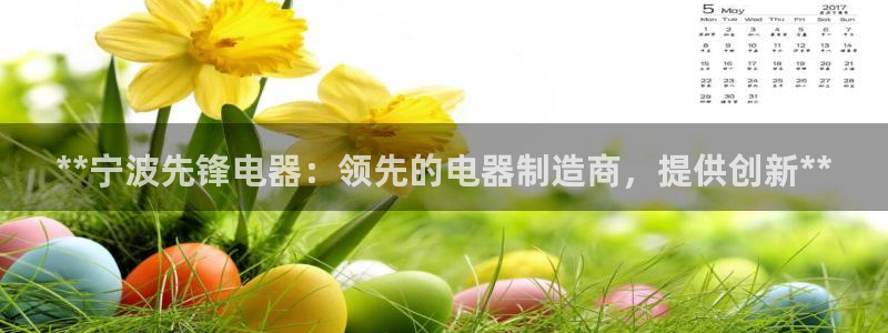 彩神平台：**宁波先锋电器：领先的电器制造商，提供创新**