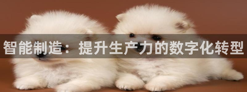 新版彩神v8登录不了：智能制造：提升生产力的数字化转型