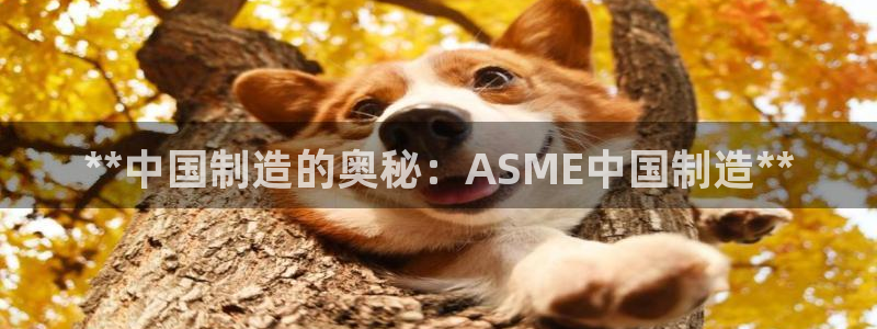彩神输的钱是赌博还是诈骗：**中国制造的奥秘：ASME中国制造**
